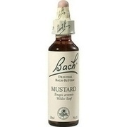 Nelsons BACHBLUETEN MUSTARD TROPFEN 20 ML