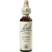 Nelsons BACHBLUETEN GORSE TROPFEN 20 ML