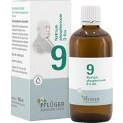 BIOCHEMIE 9 PFLUEGER NATRIUM PHOSPHORICUM D 6 TROPFEN 100 ML BIOCHEMIE 9 PFLUEGER NATRIUM PHOSPHORICUM D 6 TROPFEN 100 ML