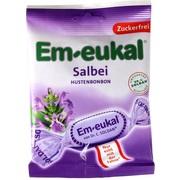 Dr. C. SOLDAN EM EUKAL BONBONS SALBEI ZUCKERFREI 75 G