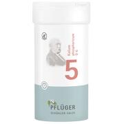 Pflüger BIOCHEMIE 5 PFLUEGER KALIUM PHOSPHORICUM D 6 TABL 