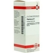 DHU-Arzneimittel PHYTOLACCA D 1 DILUTION 20 ML