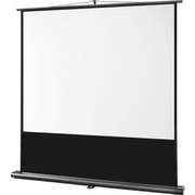 celexon Professional Ultramobil 160 x 120