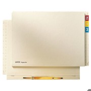 Leitz Einstellhefter RC-Karton chamois A4 230g kfm.Hef.