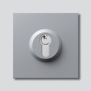 Siedle Schloss-Modul SM 611-01