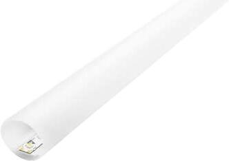 Barthelme Pino Grande Profil (62399940)
