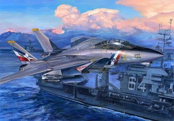 Trumpeter F-14D Super Tomcat