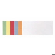 Kommunikationskarten, FRANKEN UMZ 1020 99 9,5x20,5cm, Form rechteckig, PG=500ST, sortiert, 526650
