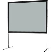 Celexon Expert Mobile 203 x 152 Rückprojektion