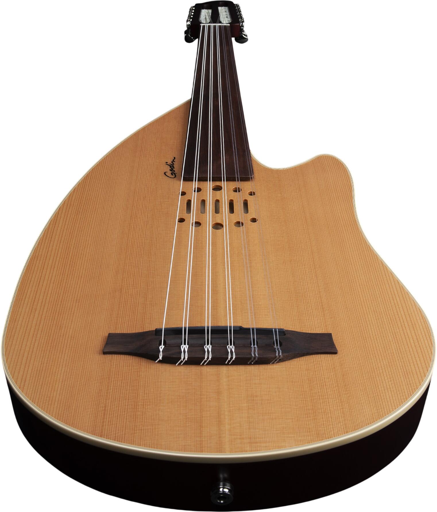 Godin Multioud Nylon