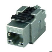 TELEGAERTNER AMJ-Modul Kat. 6A 2 Stueck