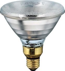 Philips PAR38 IR Sparlampe Philips 175 W 240 V klar
