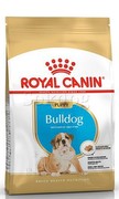 Royal Canin Bulldog Junior 3 kg