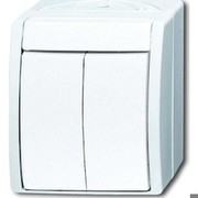 Busch Jaeger Busch-Jaeger Wippschalter,Serienschalter, 2601/5 W-54