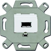 Busch-Jaeger 0261/12 USB-Anschlussdose