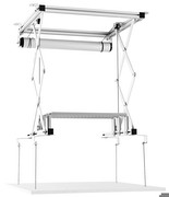 celexon PL300