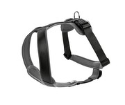 Hunter Geschirr Neopren S