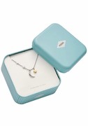 Fossil JFS00432998 Fossil JFS00432998
