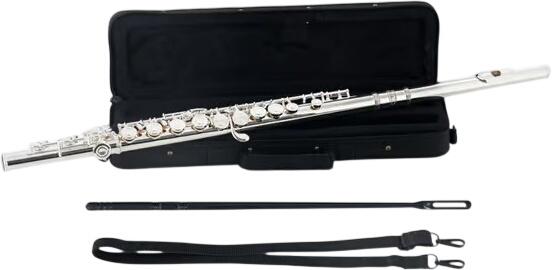 Classic Cantabile FL-200