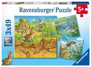 Ravensburger Tiere in ihren Lebensräumen