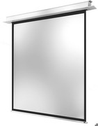 celexon Deckeneinbau Motor Pro Plus 240 x 240 cm