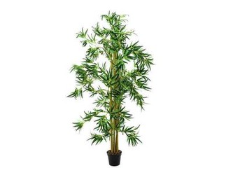 Europalms Bambus Multistamm 150 cm