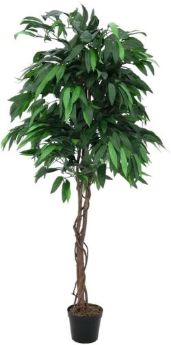 Europalms Dschungelbaum Mango 180 cm