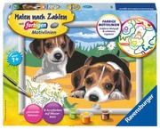 Ravensburger Malen nach Zahlen Jack Russel Welpen (28329)