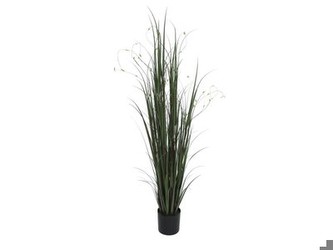 Europalms Weidenzweiggras 183 cm