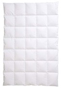 Centa-Star Ambiente Daunendecke medium 135 x 200 cm
