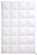 Centa-Star Ambiente Daunendecke warm 155 x 220 cm