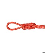 Mammut 9.5 Gym Classic Rope 40 m