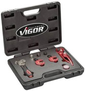 Vigor V5513