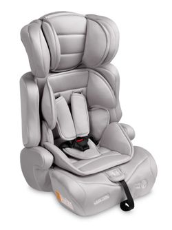 Caretero Falcon
