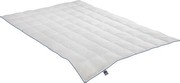 Irisette Luna 4-Jahreszeiten-Steppbett 155 x 220 cm