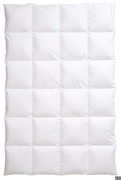 Centa-Star Ambiente extra warm 155 x 220 cm