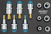 Hazet Werkzeug Satz TORX (163-245/12)