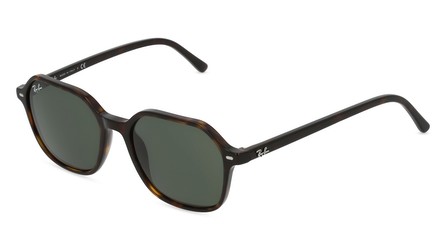 Ray Ban RB2194