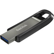 SanDisk Extreme Go 256GB