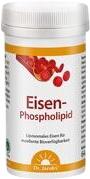 Dr. Jacob's Eisen-Phospholipid Pulver 64 g