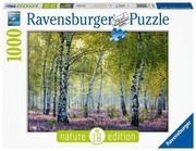 Ravensburger Puzzle Birkenwald