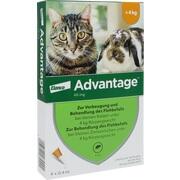Elanco Advantage 40 Spot on Katze 4 Stk.