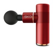 SKG F3-EN