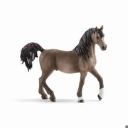 Schleich Horse Club - Araber Hengst (13907)