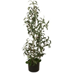 Europalms Olivenbäumchen 90 cm