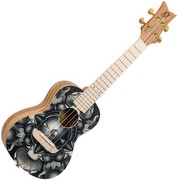 Ortega RUAR-BI