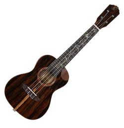 Ortega RUET-ZC