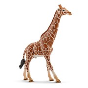 Schleich Wild Life - Giraffenbulle (14749)