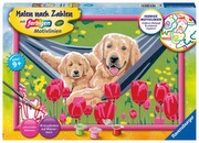 Ravensburger Malen nach Zahlen Kuschelpause