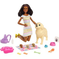 Mattel Barbie Puppe brünett mit Hund und Welpen (HCK76)